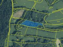 Prodej lesa, Nový Jičín - Straník, 3916 m2