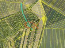 Prodej sadu/vinice, Dambořice, 1911 m2