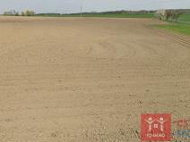 Prodej zemědělské půdy, Štítary, 38124 m2