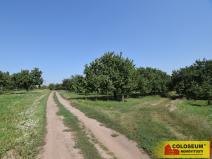 Prodej pozemku pro bydlení, Velké Pavlovice, 550 m2