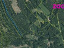 Prodej lesa, Deštná, 4056 m2