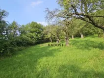 Prodej sadu/vinice, Koryčany, 4253 m2
