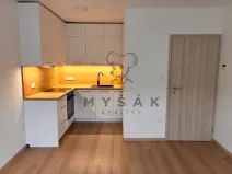 Pronájem bytu 1+kk, České Budějovice - České Budějovice 6, Palmová, 27 m2