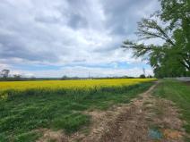 Prodej komerčního pozemku, Brno - Komárov, Hněvkovského, 5568 m2