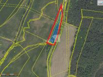 Pronájem pole, Trhové Dušníky, 2335 m2