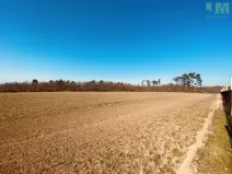 Prodej zahrady, Dobšice, 7000 m2