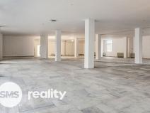 Pronájem obchodního prostoru, Karviná - Ráj, Borovského, 691 m2