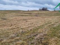 Prodej pole, Chodský Újezd - Neblažov, 387228 m2