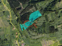 Prodej lesa, Nový Hrozenkov, 36473 m2