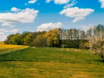 Prodej pozemku pro bydlení, Církvice, 1548 m2