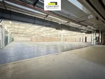 Pronájem skladu, Hradec Králové - Březhrad, Březhradská, 5330 m2