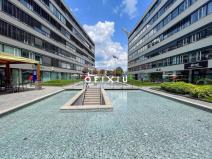 Pronájem kanceláře, Brno - Staré Brno, Nové sady, 290 m2