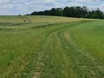 Prodej pole, Libošovice, 19018 m2