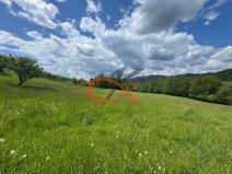 Prodej louky, Nový Hrozenkov, 25140 m2