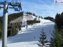 Prodej chaty, Merklín - Pstruží, 61 m2