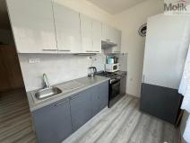 Prodej bytu 3+1, Bílina - Teplické Předměstí, M. Švabinského, 72 m2