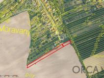 Prodej pole, Moravany, 3323 m2