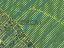 Prodej pole, Radějov, 1222 m2