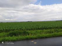 Prodej pozemku pro bydlení, Dolní Ředice, 12434 m2