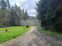 Prodej vícegeneračního domu, Zbytiny - Blažejovice, 453 m2