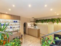 Pronájem komerční nemovitosti, Praha - Vinohrady, 150 m2