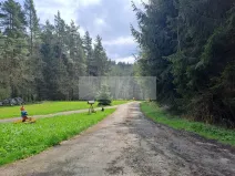 Prodej ubytování, Zbytiny - Blažejovice, 453 m2