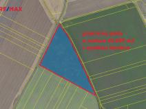 Prodej pole, Kněžice, 40299 m2