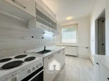 Prodej bytu 1+1, Jílové, Družstevní, 30 m2