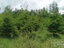 Prodej lesa, Městečko Trnávka - Lázy, 42338 m2