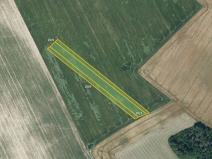 Prodej pole, Určice, 8794 m2