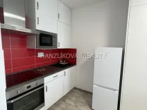 Pronájem bytu 1+kk, České Budějovice - České Budějovice 3, Jírovcova, 30 m2