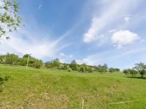 Prodej pozemku, Velká Bukovina, 3186 m2