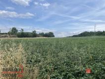 Prodej pozemku pro bydlení, Hustopeče, 788 m2