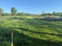 Prodej louky, Záhorovice, 3640 m2