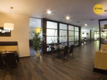 Pronájem komerční nemovitosti, Frýdek-Místek, 1. máje, 655 m2