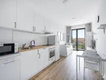 Pronájem bytu 1+kk, Praha - Kyje, Za černým mostem, 24 m2