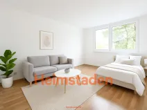 Pronájem bytu 1+kk, Karviná - Hranice, Slovenská, 35 m2
