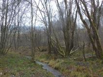 Prodej pozemku, Vyšší Brod, 2894 m2