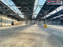 Pronájem výrobních prostor, Žatec, Purkyněho, 8000 m2