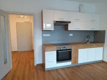 Pronájem bytu 1+kk, České Budějovice - České Budějovice 3, Riegrova, 48 m2
