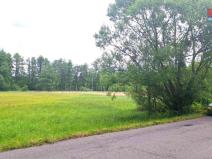 Prodej louky, Česká Lípa - Manušice, 8523 m2