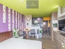 Prodej bytu 1+kk, Ostrava, Lechowiczova, 28 m2