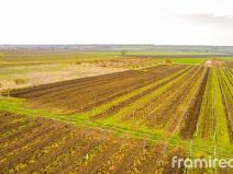 Prodej pozemku pro bydlení, Moravský Žižkov, 2723 m2