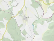 Prodej lesa, Letovice, 1894 m2