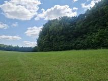 Prodej lesa, Bílá Lhota, 2912 m2