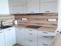 Pronájem bytu 1+kk, Olomouc, Aloise Rašína, 31 m2