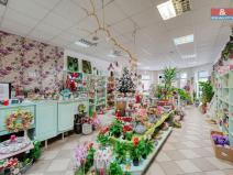 Pronájem obchodního prostoru, Třemošná, Plzeňská, 133 m2