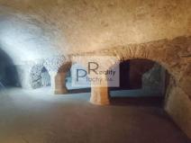 Pronájem obchodního prostoru, Znojmo, 365 m2