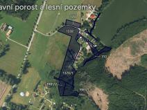 Prodej louky, Počátky, 22259 m2