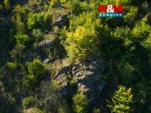 Prodej lesa, Lomnice, 7450 m2